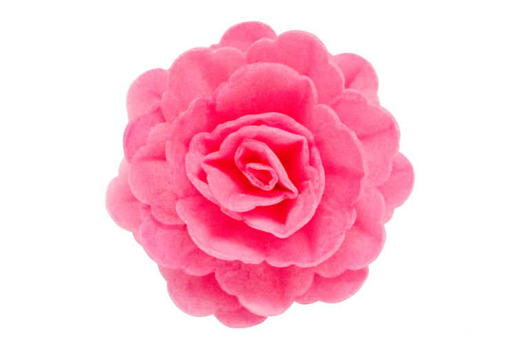 Daisy Decor Dekoracje do ciast